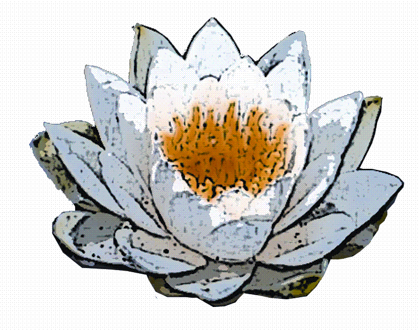Lotus_Flower.GIF